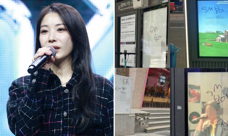 가수 보아(왼쪽), 서울 시내 곳곳에서 발견된 보아를 모욕하는 낙서. 연합뉴스·온라인커뮤니티 캡처