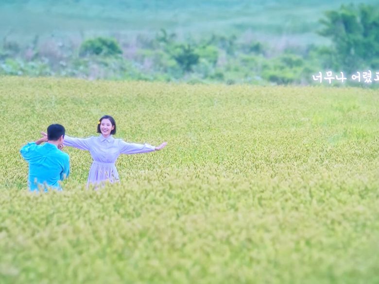 ‘폭싹 속았수다’ 최종화 오라동 청보리밭 장면. 영상 캡처