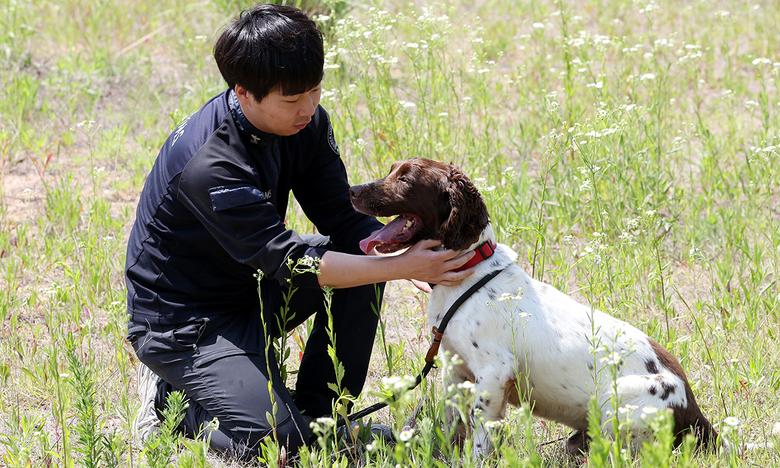 초지훈련장에서 공놀이를 마친 최우현 사양관리사가 듀크(2018년생, 스프링어스패니얼)와 교감을 하고 있다.