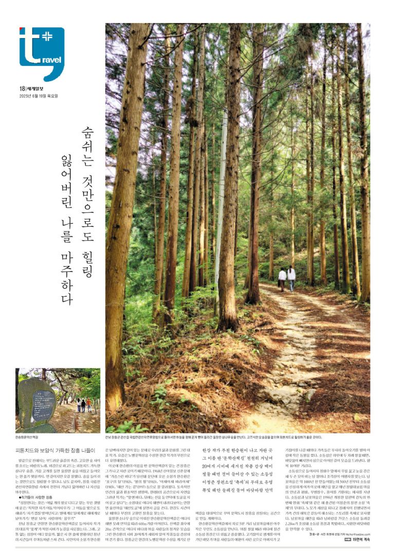 세계일보 여행면.
