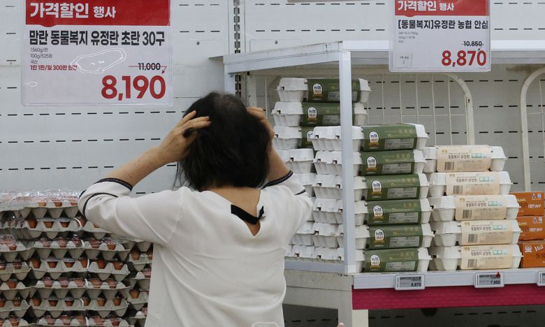 지난 20일 서울 서초구 하나로마트의 계란 판매대 모습. 연합뉴스