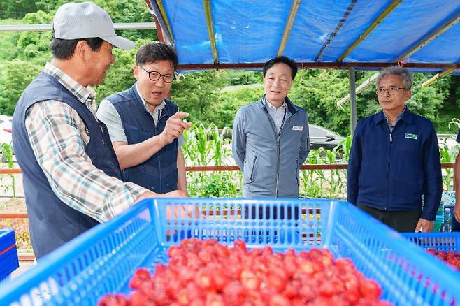 정원호(가운데) 월성본부장이 경주 문무대왕면 산딸기 작목반을 찾아 산딸기를 살펴보고 있다.