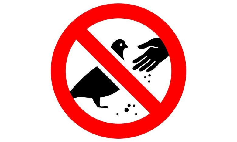 사진=게티이미지뱅크