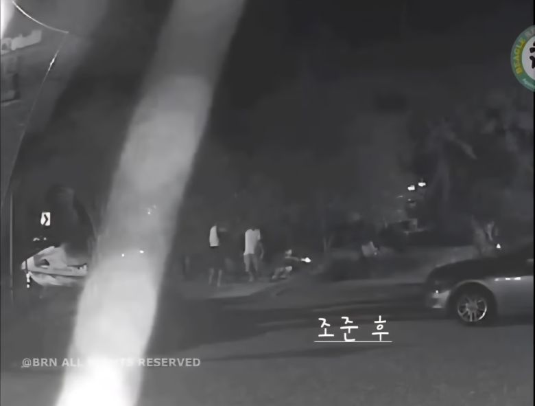 경남 거제시에서 남성들이 남의 집 반려견에 비비탄 총을 쏘는 모습. 비글구조네트워크 SNS 캡처