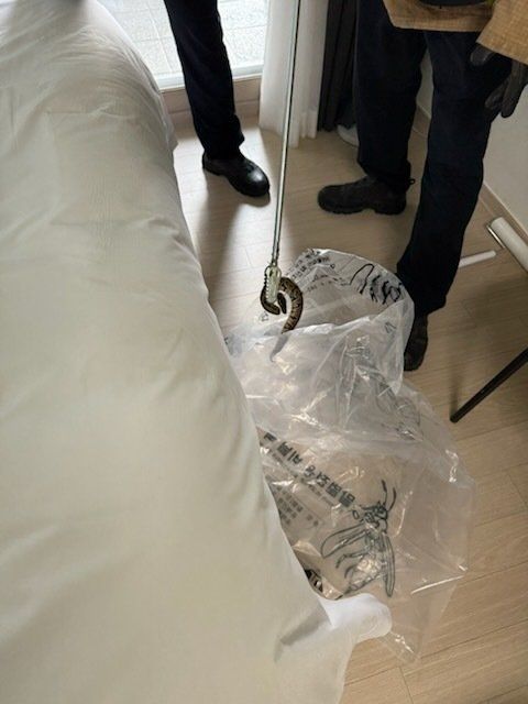 국립공원공단 북부보전센터 제공