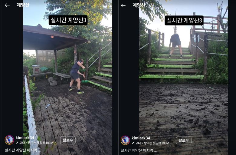 인천 계양구 계양산에서 한 시민이 러브버그를 치우고 있다. 인스타그램 캡처