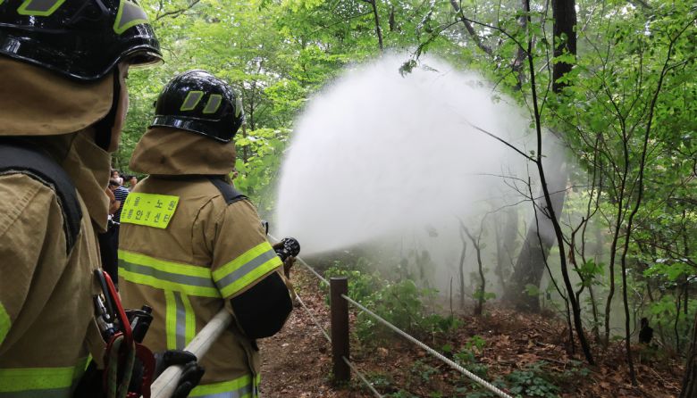 3일 서울 노원구 삼육대학교 인근 제명호에서 서울소방 관계자들이 러브버그 방제작업을 하고 있다. 뉴시스