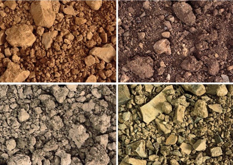 몬탈치노 토양. 브루넬로디몬탈치노협회