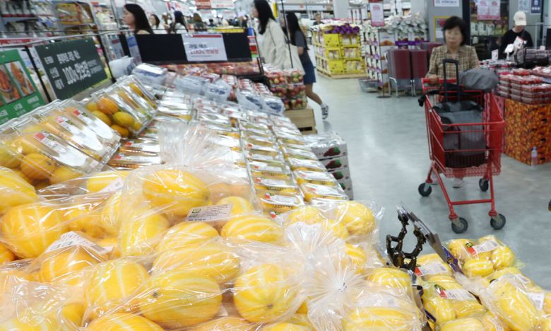 서울 한 대형마트에서 시민이 참외를 살펴보고 있다. 뉴시스