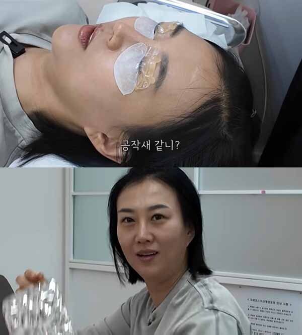 유튜브 채널 ‘도장TV’