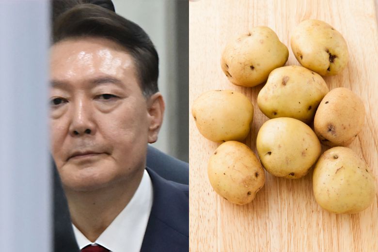 윤석열 전 대통령(왼쪽)이 지난 9일 밤 서울 서초구 서울중앙지법에서 영장실질심사를 마치고 나오고 있다. 이후 구속영장이 발부돼 이튿날 경기도 의왕시 서울구치소에 구속 수감됐다. 재수감 첫날 식단은 찐감자 등으로 알려졌다. 공동취재·게티이미지뱅크
