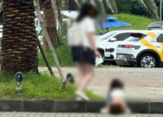 제주도의 한 아쿠아리움 야외 주차장에서 중국인으로 추정되는 여자아이가 용변을 보고 있다. 온라인 커뮤니티 캡처