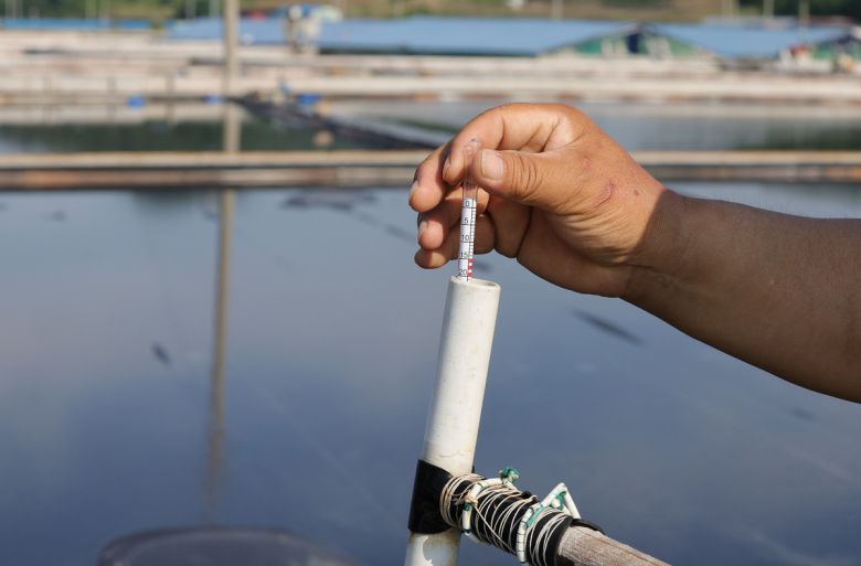 염부 전동길 씨가 증발지를 돌며 염도계로 물의 염도를 체크 하고 있다.