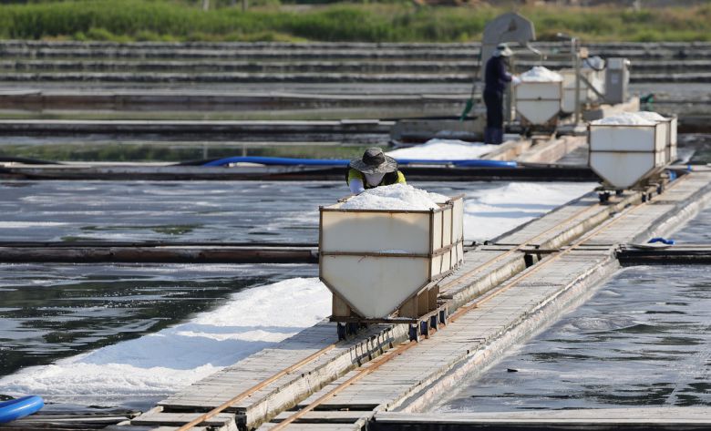염부 전동길 씨가 수확한 소금을 소금창고로 옮기고 있다.