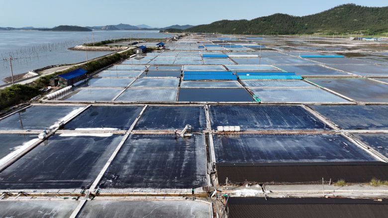 신안 도초도 염전에서 염부들이 소금을 긁어모으고 있다.