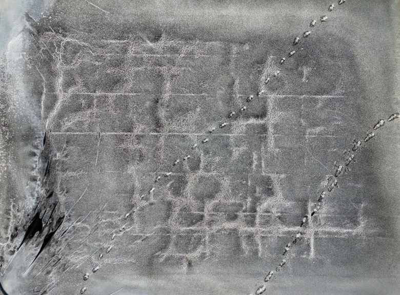 염전 바닥 위에 천일염 결정들이 맺혀 있다. 눈송이처럼 생긴 결정은 바닷물이 태양과 바람을 견디며 일곱 날 동안 빚어낸 작품이다.