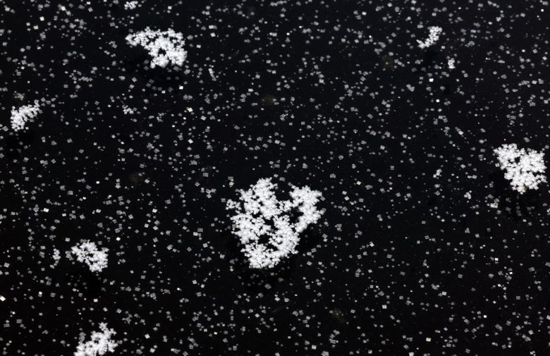 염전 바닥 위에 천일염 결정들이 맺혀 있다. 눈송이처럼 생긴 결정은 바닷물이 태양과 바람을 견디며 일곱 날 동안 빚어낸 작품이다.