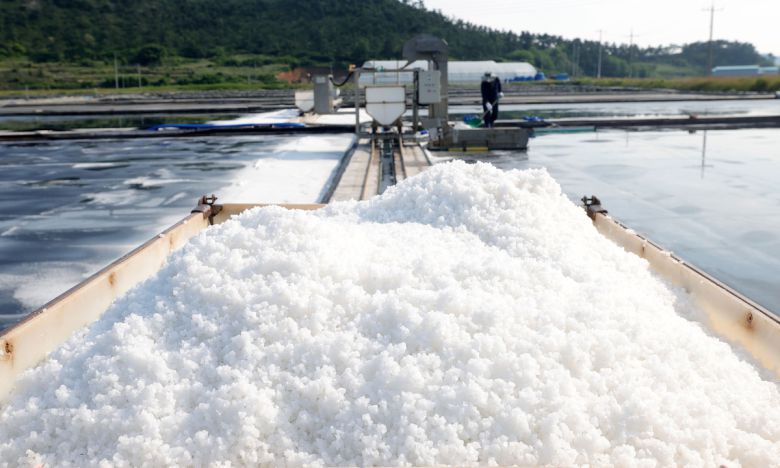 소금 열차 위에 막 수학한 천일염이 쌓여 가고 있다.