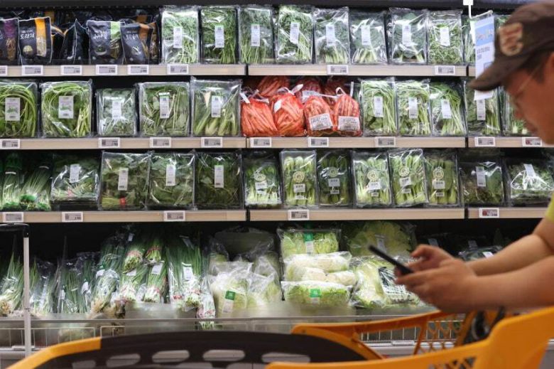 폭염·장마 여파로 채소류 가격이 들썩이고 있는 12일 서울의 한 대형마트에서 시민이 장을 보고 있다. 연합뉴스