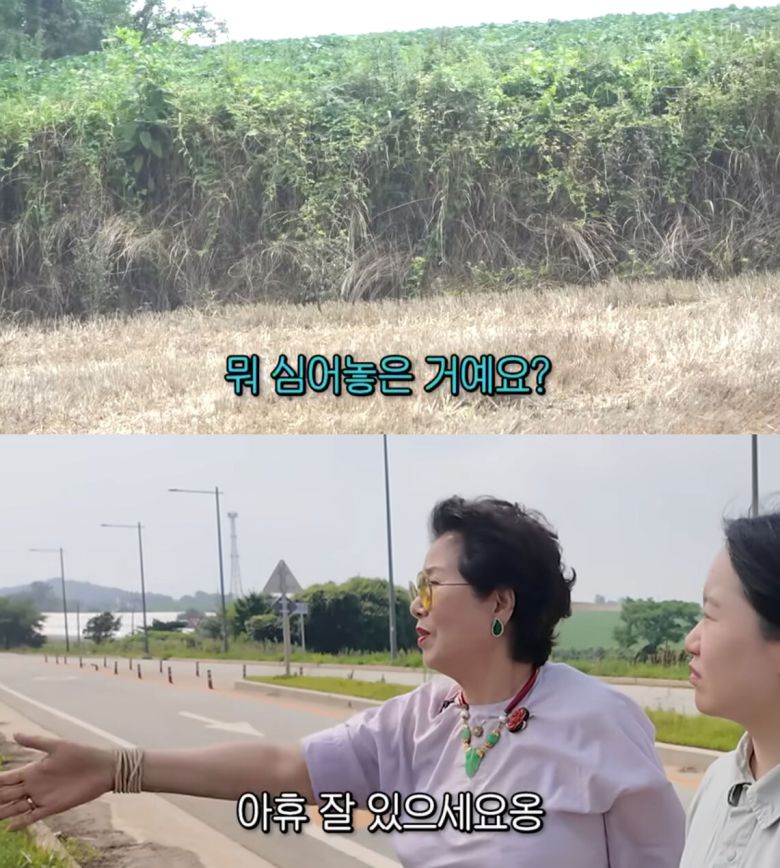 유튜브 채널 ‘순풍 선우용여’ 캡처