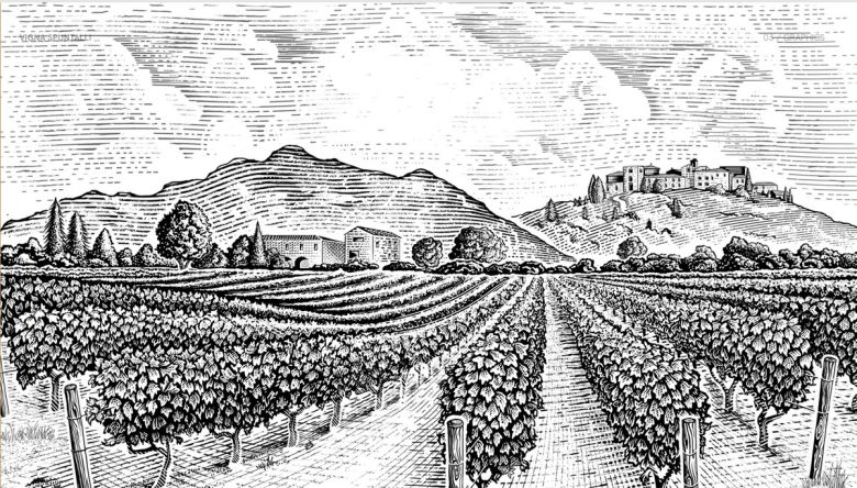 비냐 스푼탈리 레이블.