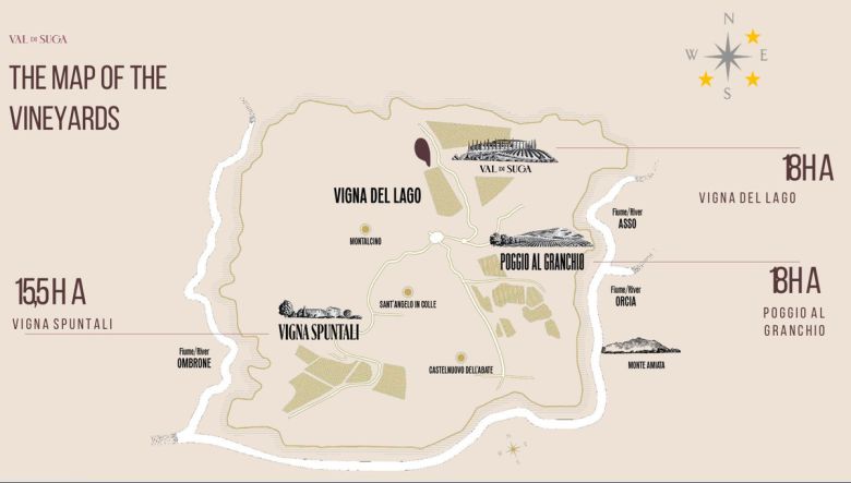 발 디 수가 싱글빈야드 위치.