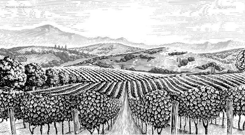 포지오 알 그란키오 레이블.