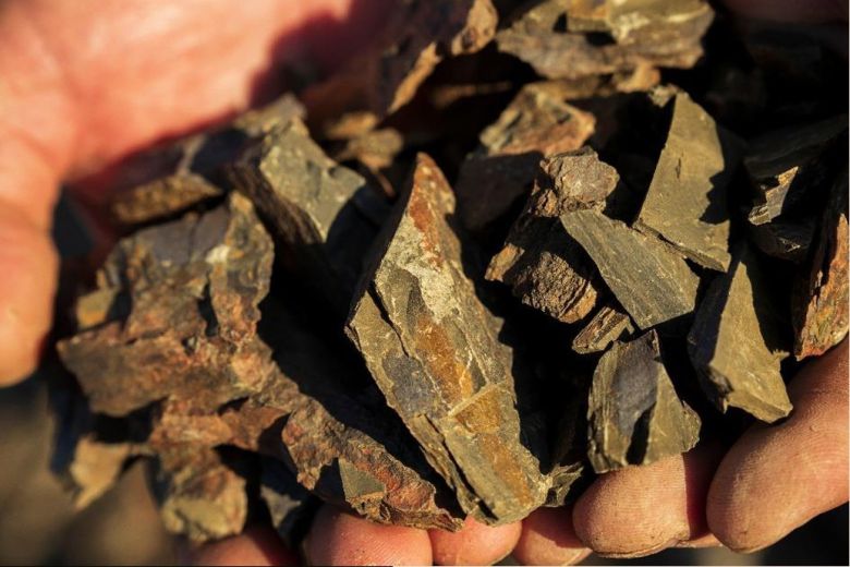 포지오 알 그란키오 갈레스트로 토양. 홈페이지