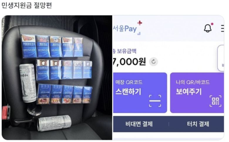 소셜미디어에 '민생지원금 절망편'이라는 제목으로 올라온 게시물. X(엑스) 갈무리