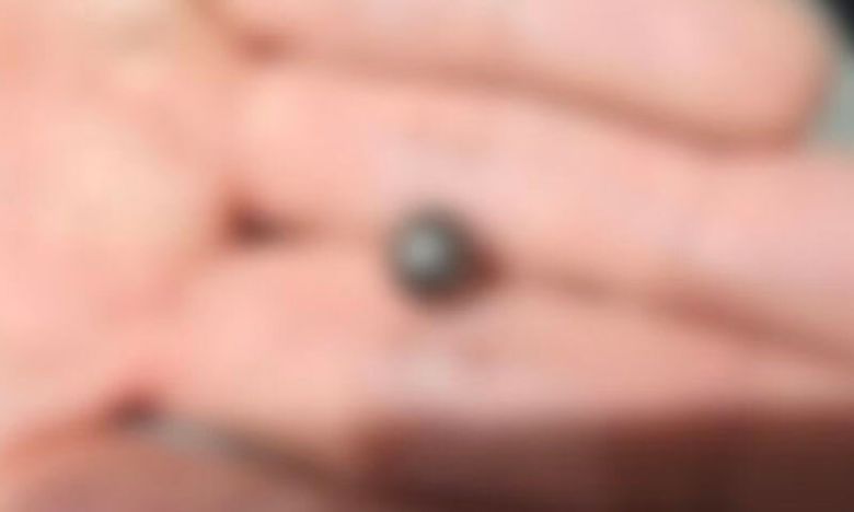 지난 20일 인천 송도의 한 아파트에서 60대 피의자 A씨가 자신의 아들을 향해 발사한 사제총기에 사용된 산탄. 인천경찰청 제공