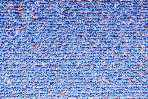 김한영 ‘SH202509-A’. 포도뮤지엄 제공