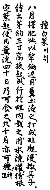 ‘산림경제’ 중 백채에 관한 기록. 머휘(머위)가 배추를 의미한다. 세계김치연구소 제공