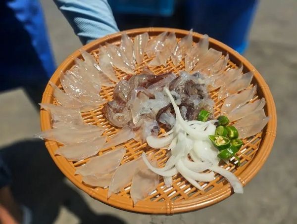 오징어 난전에서 주문한 5만6000원짜리 오징어 회. 사진=속초시청 자유게시판 캡처