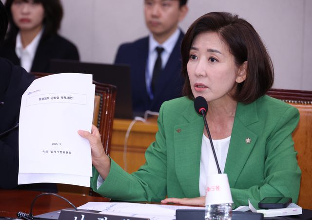 나경원 국민의힘 의원이 2일 오후 서울 여의도 국회에서 열린 법제사법위원회 전체회의에서 발언을 하고 있다. 뉴시스