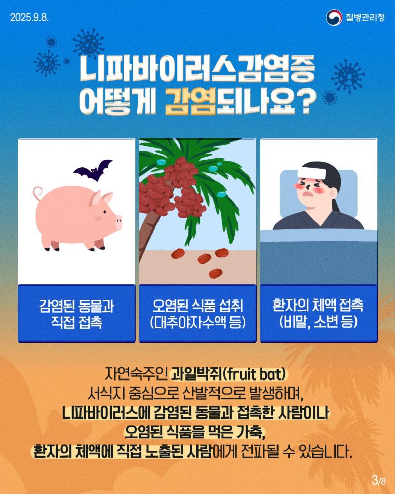 사진=질병관리청 제공