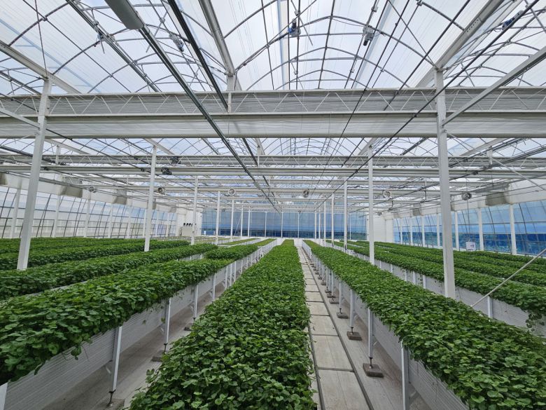 제주 서귀포시 구좌읍 ‘리만팜’ 내부 모습.