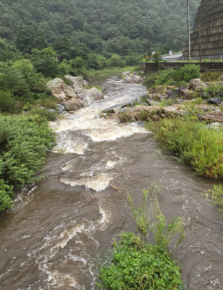 13일 오전 강릉지역에 단비가 내리면서 오봉저수지 상류의 한 하천에는 물줄기가 흐르고 있다. 김경호 기자