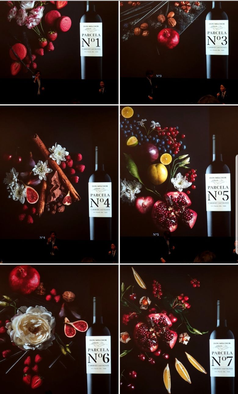 7개 파셀 캐릭터.