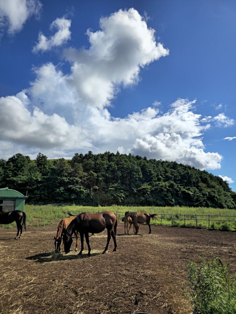 명성목장.