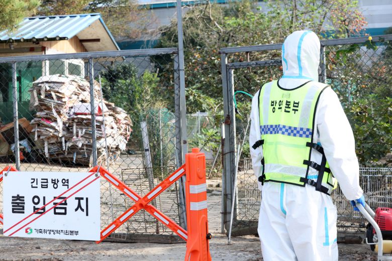 22일 방역 당국 직원이 조류인플루엔자(AI)가 발생한 광주 남구 한 기러기 농장을 둘러보고 있다. 연합뉴스