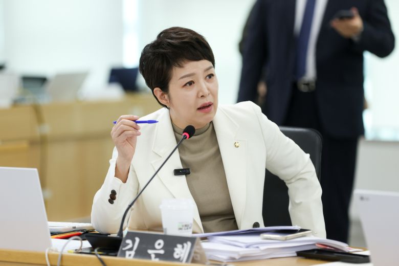 20일 국회 국토교통위원회 경기도 국정감사에서 질의하는 김은혜 의원. 경기도 제공