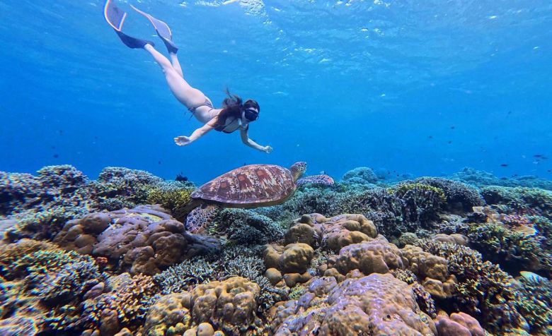 29일(현지시간) 인도네시아 마나도 부나켄 해양국립공원에서 이스타항공의 인천-마나도 첫 편을 통해 도착한 관광객들이 스노쿨링과 다이빙을 즐기며 기념촬영을 하고 있다. 마나도 부나켄 해양국립공원은 맑은 바다 속에서 1,300종 이상의 해양 생물과 370여 종의 살아있는 산호초 등을 맨 눈으로 감상할 수 있어 세계 3대 다이빙 성지로 불린다.