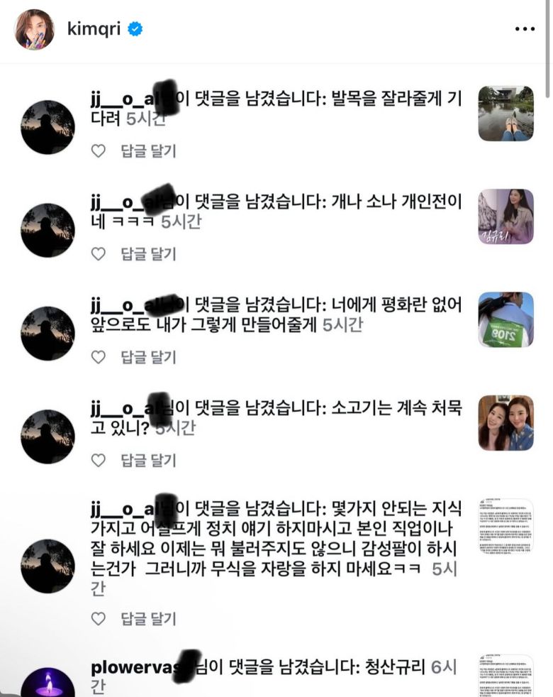 김규리의 인스타그램에 달린 악플. 김규리 인스타그램 캡처