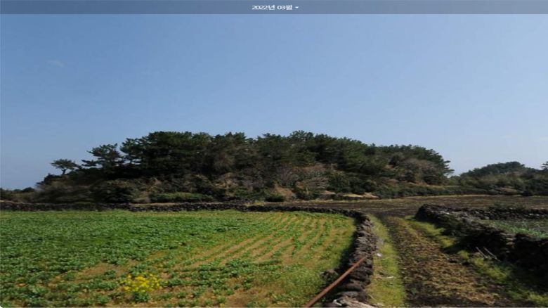 훼손되기 전 임야 사진. 제주도 자치경찰단 제공