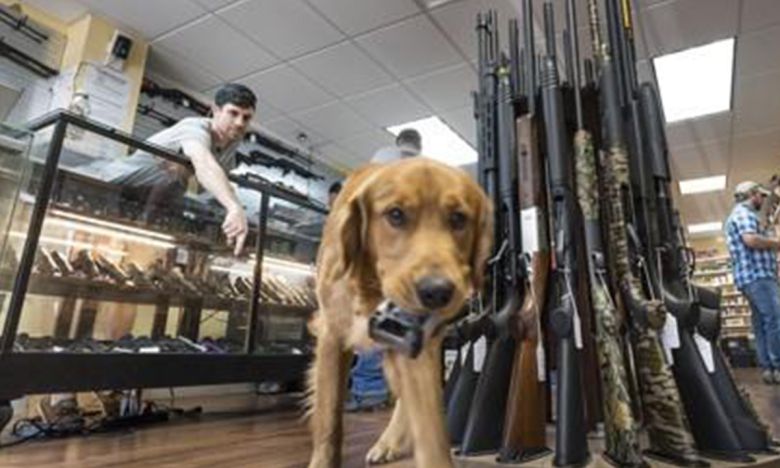 진열된 총기 앞에 서 있는 개. EPA연합뉴스