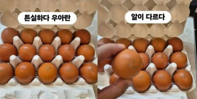 조혜련의 SNS 홍보글. 조혜련 인스타그램 캡처