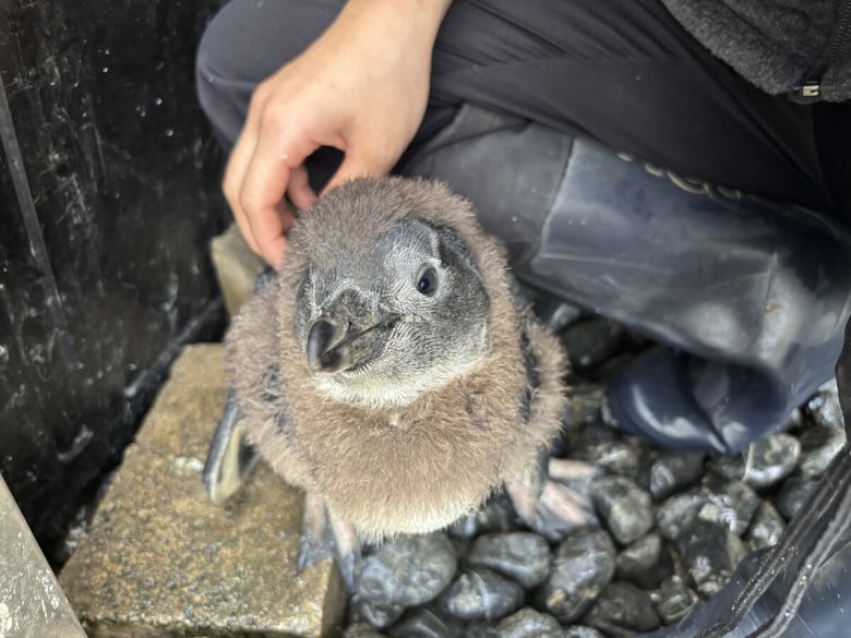 사진 출처=가평베고니아새정원