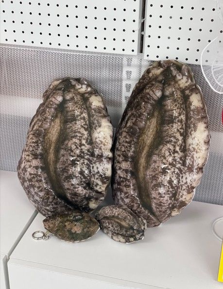 전복 미니 쿠션과 키링. 완도군 제공