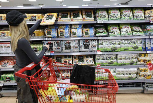 서울 시내 한 대형마트에서 외국인 관광객이 김을 고르고 있다. 연합뉴스