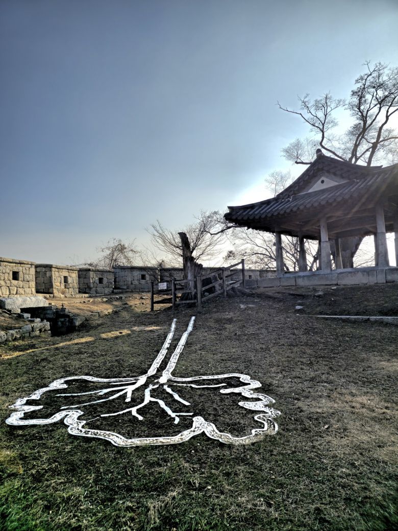 연미정 부러진 느티나무.